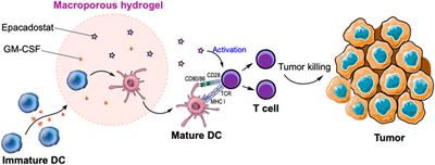 In Situ Dendritic Cell Recruitment and T Cell Activation for Cancer Immunotherapy